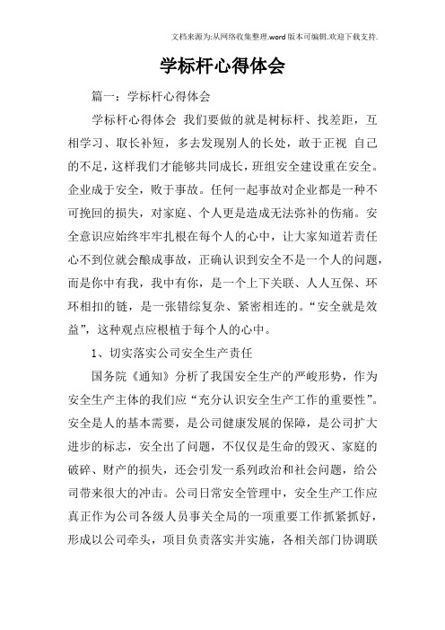 学标杆心得体会