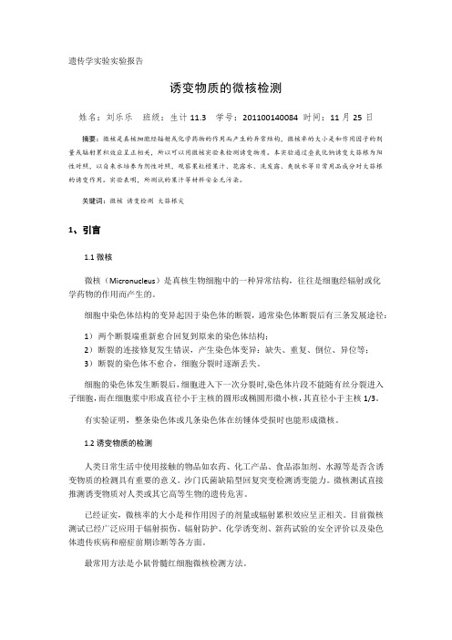 遗传学-诱变物质的微核检测
