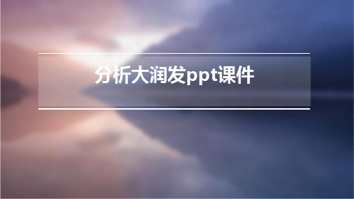 分析大润发ppt课件