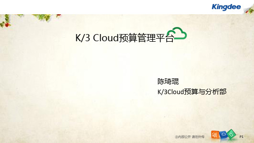 预算管理平台培训课件(ppt 41页)