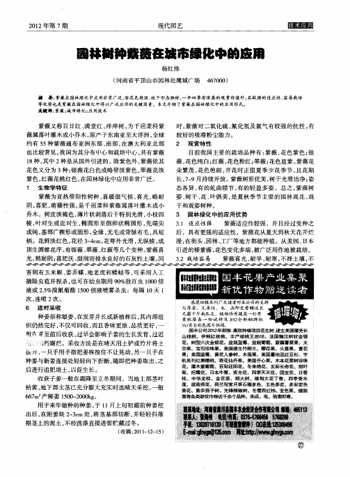园林树种紫薇在城市绿化中的应用