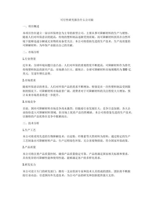 可行性研究报告什么公司做