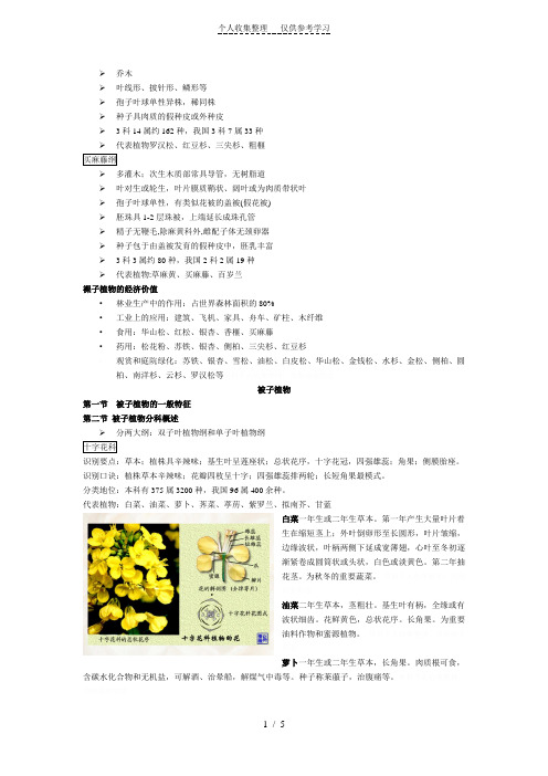 植物学第六章