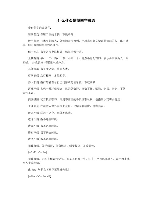 什么什么偶得四字成语