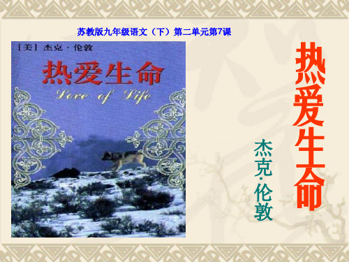九年级下册《热爱生命》课件(49张ppt)
