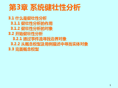 第3章 系统健壮性分析