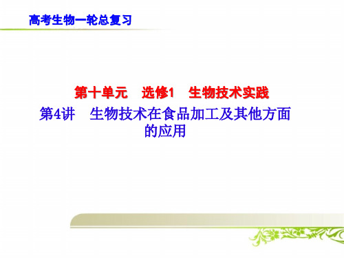 高考生物一轮总复习：生物技术在食品加工及其他方面的应用