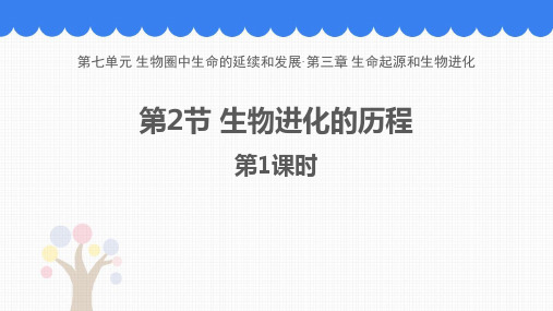 人教版八年级生物下册《生物进化的历程》PPT优质课件