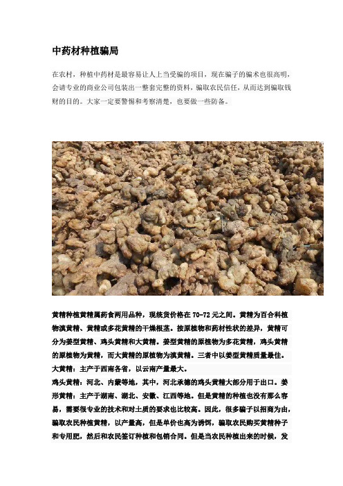 中药材种植骗局