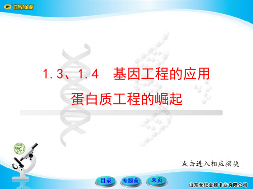 专题31114基因工程的应用、蛋白质工程的崛起