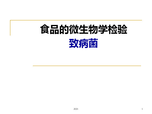 微生物检测技术--金黄色葡萄球菌检测PPT课件