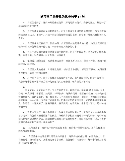 描写玉兰花开放的优美句子57句