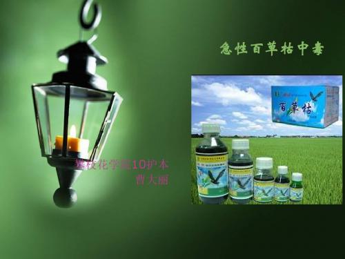 急性百草枯中毒_曹大丽