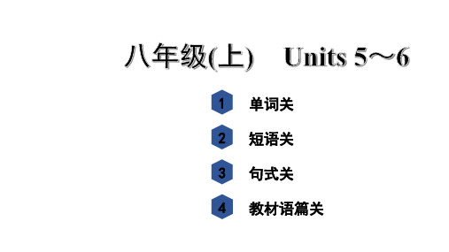 人教版.英语第一轮词汇复习 八年级(上) Units 5~6。