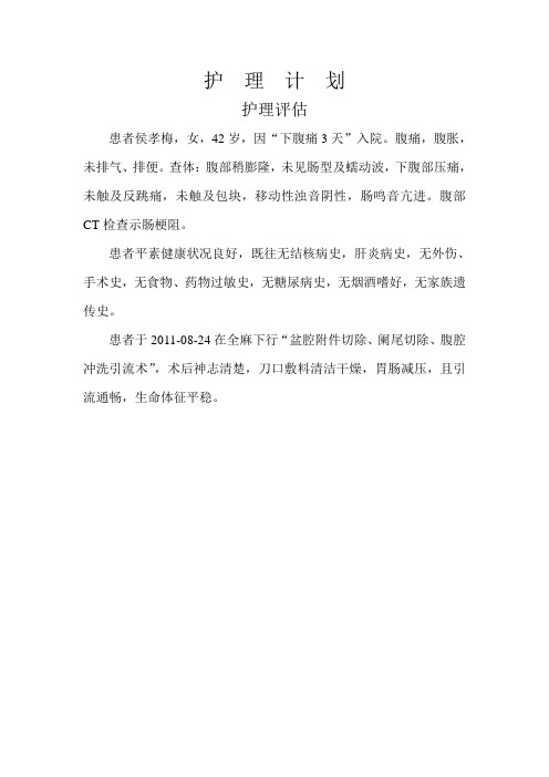 肠梗阻护理计划