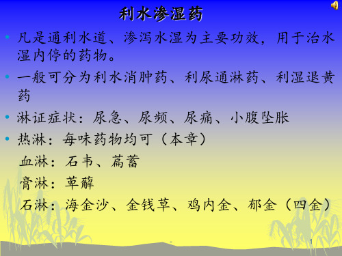 第六章--利水渗湿药PPT课件