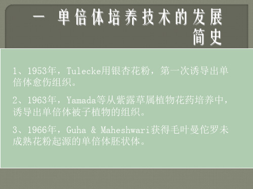 花药培养_PPT幻灯片