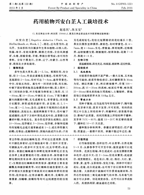 药用植物兴安白芷人工栽培技术