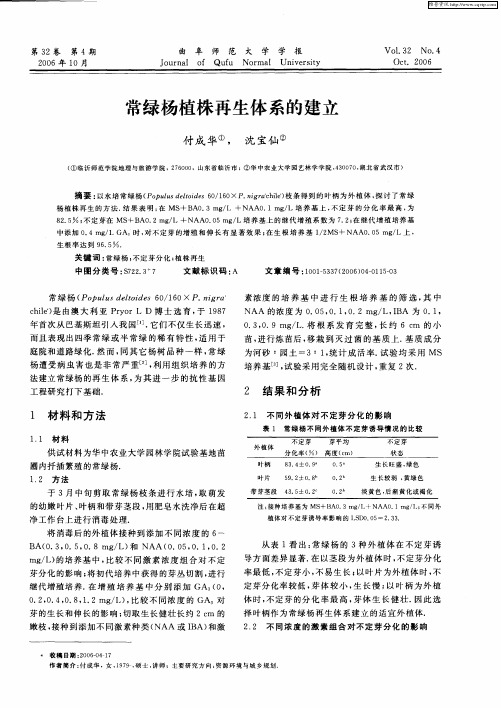 常绿杨植株再生体系的建立