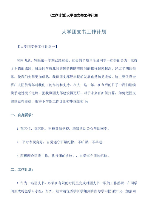 大学团支书工作计划word版本