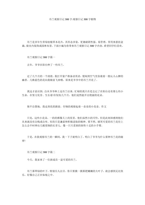 吊兰观察日记300字-观察日记300字植物