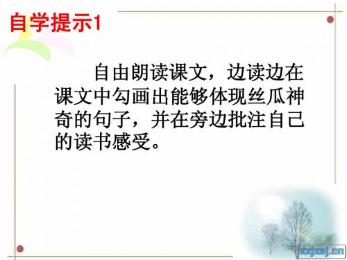 神奇的丝瓜