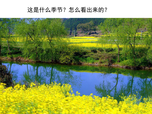 苏教版四下4《古诗两首》