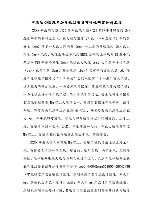 中石油CNG汽车加气母站项目可行性研究分析汇报.doc
