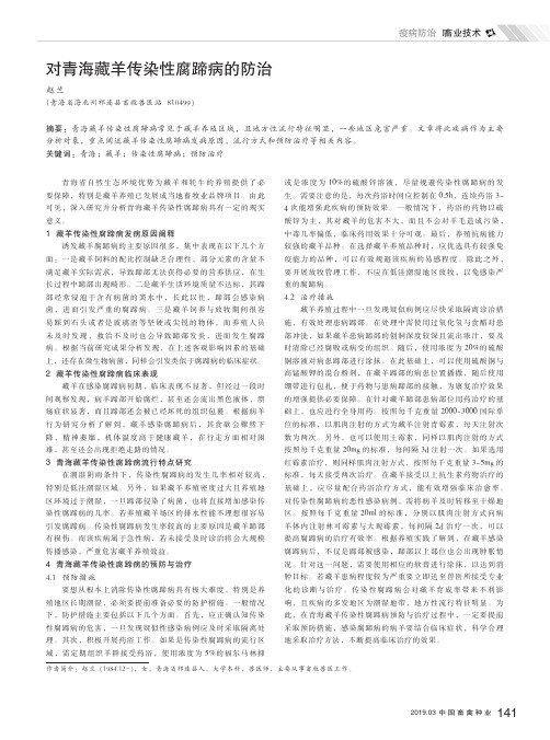 对青海藏羊传染性腐蹄病的防治