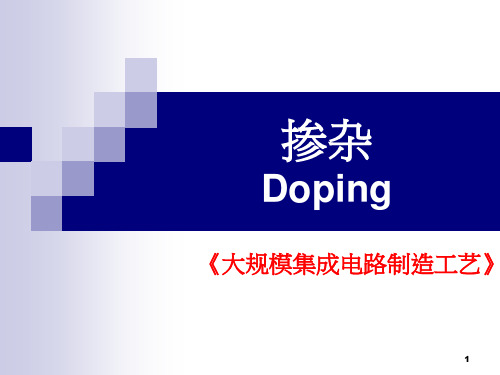 第五章-掺杂详述