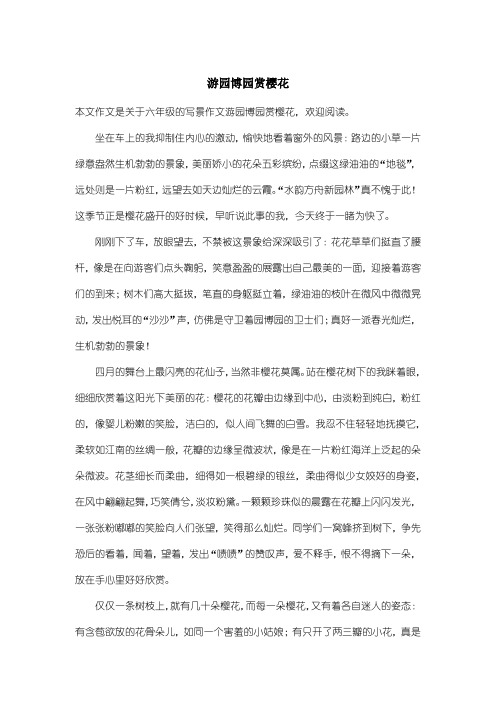 小学六年级写景作文：游园博园赏樱花