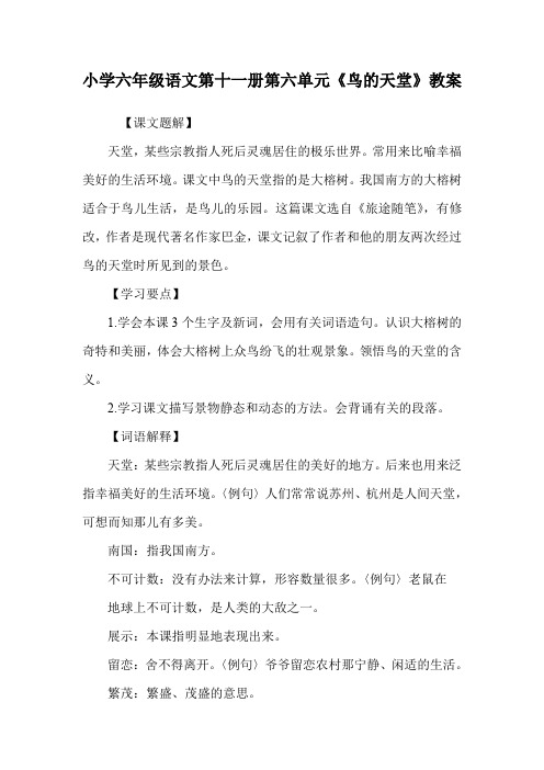 小学六年级语文第十一册第六单元《鸟的天堂》教案.doc