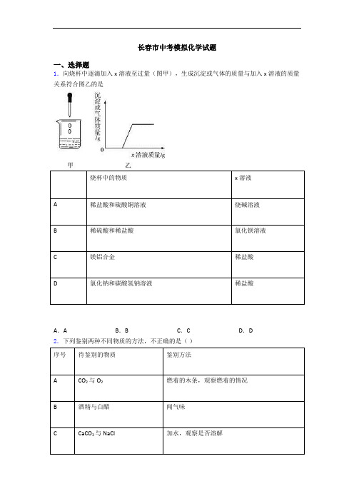 长春市中考模拟化学试题