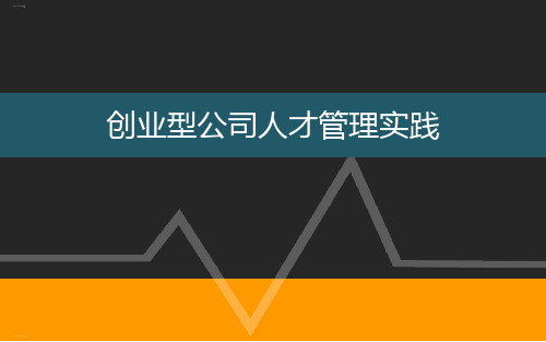 创业型公司人才管理实践培训教材ppt