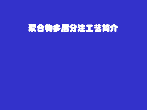 聚合物单管多层分注工艺简介