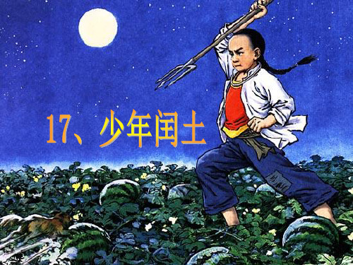 17少年闰土公开课课件.ppt