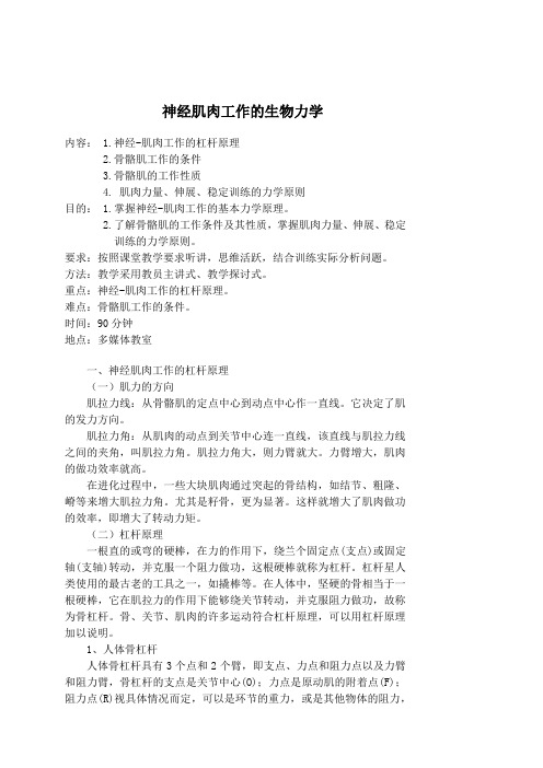 神经肌肉工作的生物力学