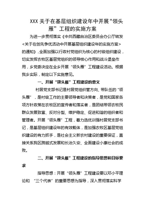 领头雁工程实施方案