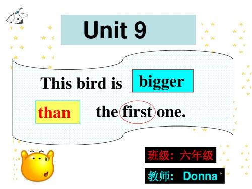 湘少版6年级UNIT9This_bird_is_bigger_than_the_first_one