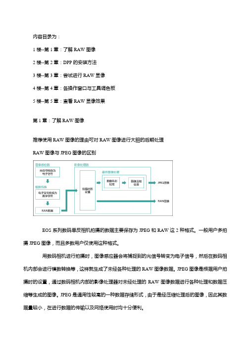DPP完整教程