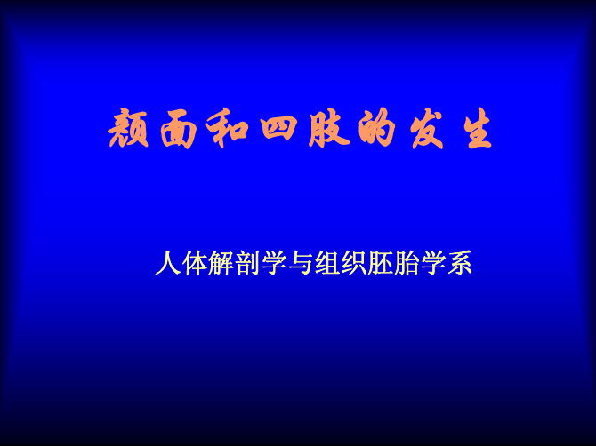 22颜面和四肢的发生组织胚胎学