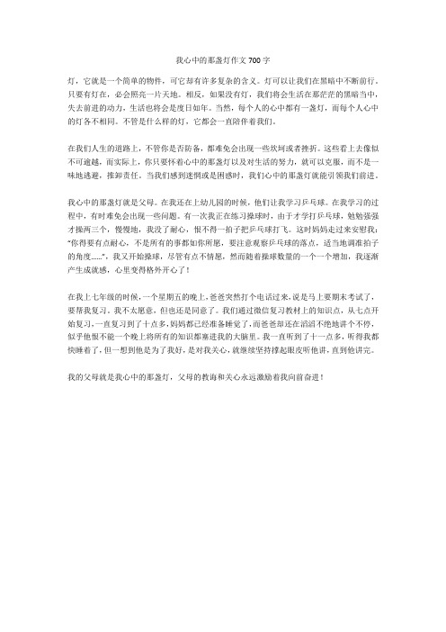 我心中的那盏灯作文700字完美版