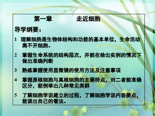 高中生物必修一第一章复习 PPT课件 图文
