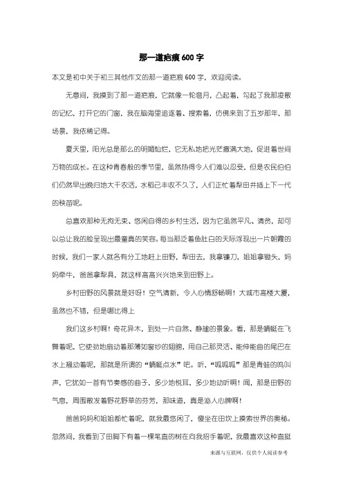 初三其他作文：那一道疤痕600字