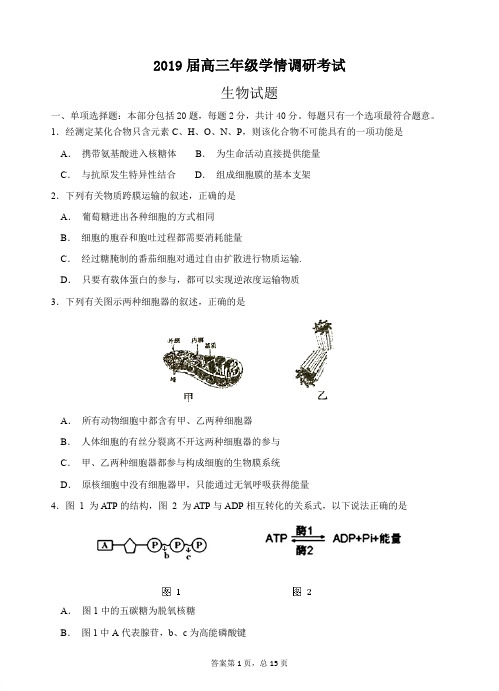 江苏省溧水高级中学2019届高三生物上学期10月学情调研考试 生物(PDF版)