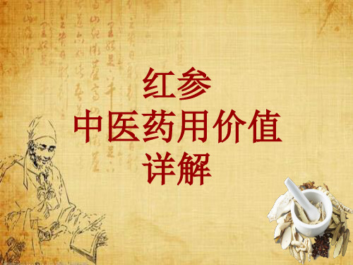 中药学_红参_药材详解课件模板