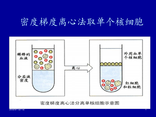 密度梯度离心法取单个核细胞具体方法 ppt课件