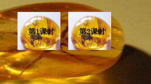 四年级下册语文课件-5 琥珀  人教部编版 (共35张PPT)