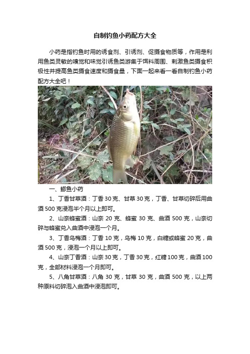 自制钓鱼小药配方大全