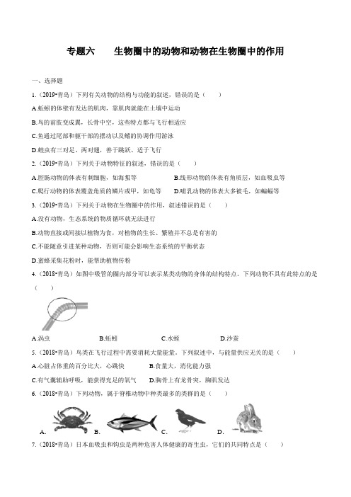 2020中考生物真题分类汇编(山东省)专题06 生物圈中的动物和动物在生物圈中的作用(原卷版)